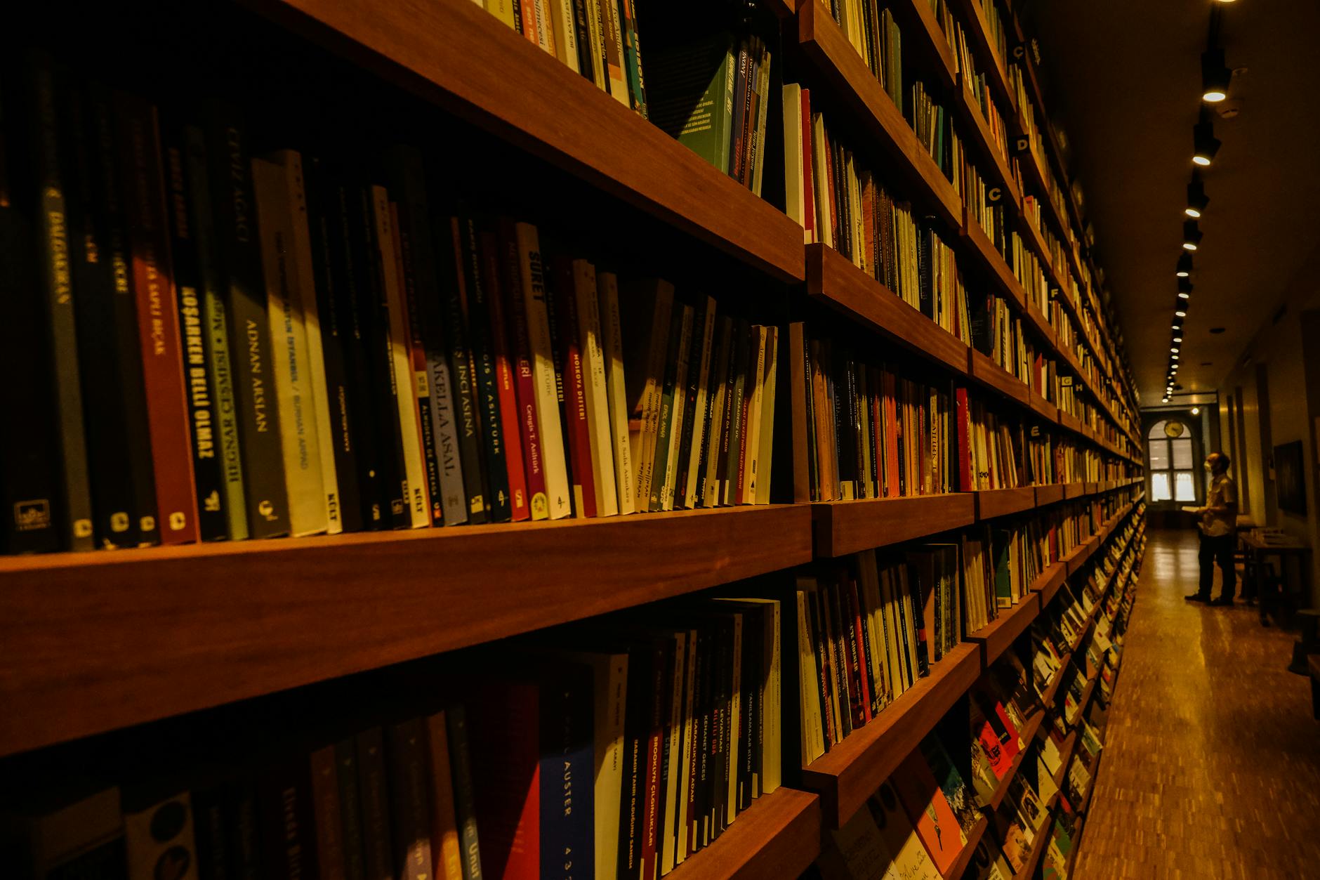 Rows of books displayed on bookstore shelves