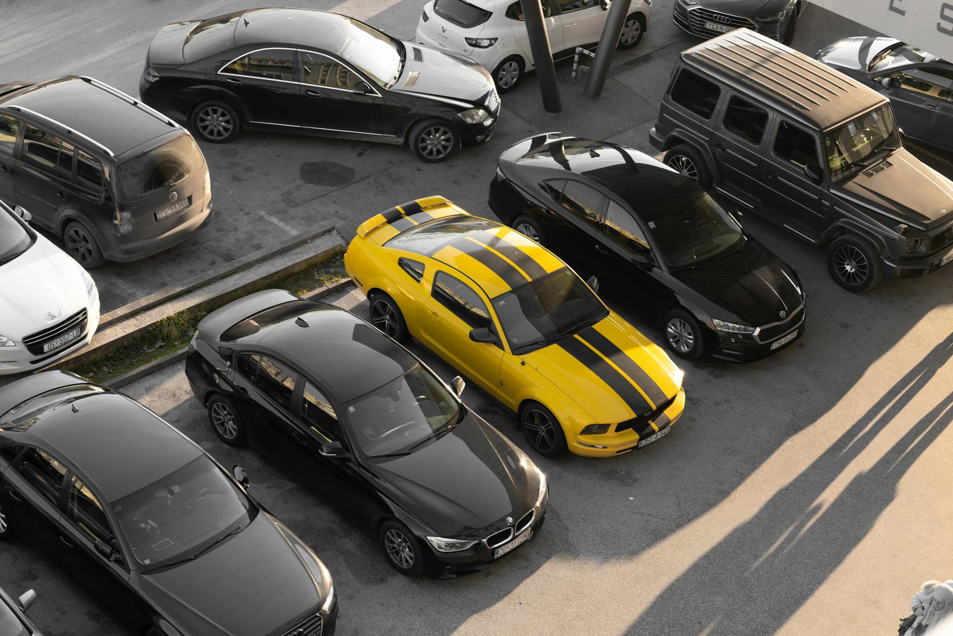 Row of rental cars parked at a car rental facility