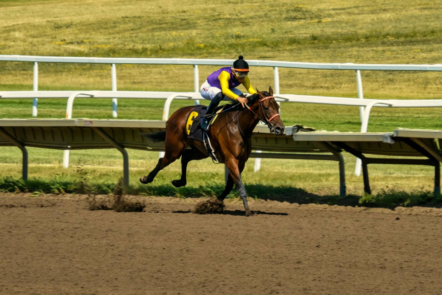 Empty horse racing track with grandstand in background