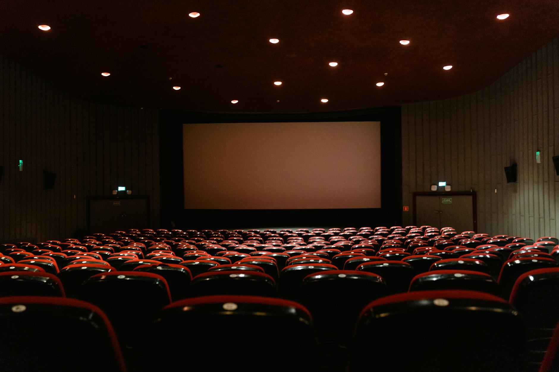 Independent film festival screening with audience and projector
